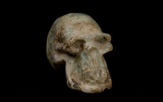 Pre Columbian Mayan Skull Aztec_olmec_maya