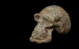 Pre Columbian Mayan Skull Aztec_Olmec_Maya 5