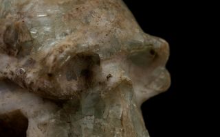 Pre Columbian Mayan Skull Aztec_Olmec_Maya 7