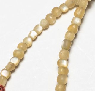 19th Chinese Manchu Style Seed Prayer Beads 4