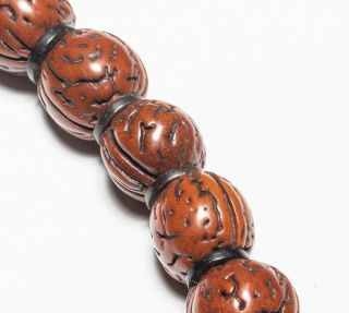 19th Chinese Manchu Style Seed Prayer Beads 9