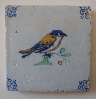 17th Century Dutch Delft Tile Polychrome Bird " Swallow " (c.  1625/50)