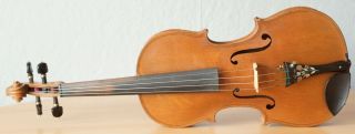 old violin 4/4 geige viola cello fiddle label JOSEPH ROCCA 2