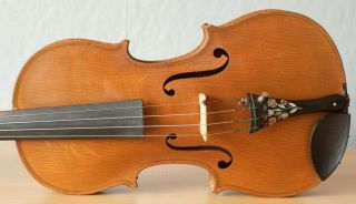 old violin 4/4 geige viola cello fiddle label JOSEPH ROCCA 3