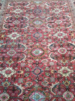 Vintage / Antique Persian Sarouk Hand Knotted Wool Rug 8 ' 9x 11 ' 9 lightly WORN 3