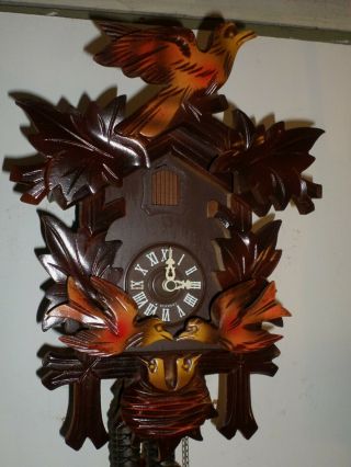 Rare German Black Forest Animated Nesting Chicks & Birds Kammerer Cuckoo Clock