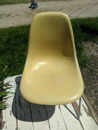 Vintage Herman Miller Yellow Fiberglass Shell Chair W/ Stackable Base & Label