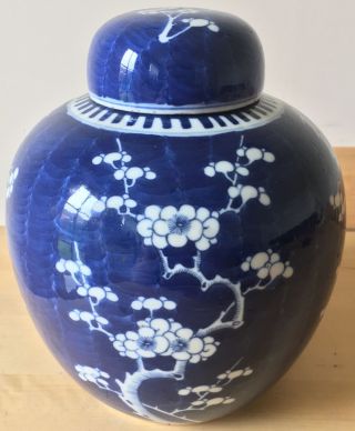 Antique Chinese 10 " Lidded Ginger Jar Prunus Blossom Double Ring Kangxi Revival