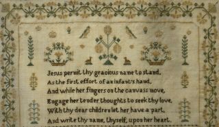 EARLY/MID 19TH CENTURY BIRDS,  MOTIF & VERSE SAMPLER BY ALICE WARD AGED 12 - 1843 9