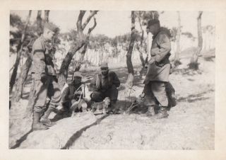 Korean War Chiri San “action Area” (5 Photos) - 1949