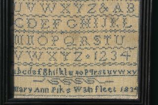 ANTIQUE NEEDLEWORK SAMPLER by MARY ANN PIKE WAINFLEET LINCOLNSHIRE 1834 2