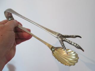 Large Peter Krider - Coin Silver - 9 1/4 In Vegetable Serving Tongs