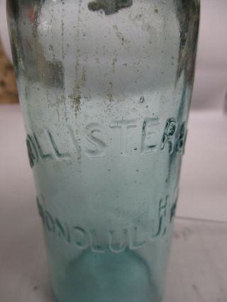 Hollister & Co.  Honolulu Blob