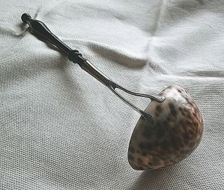 Rare Antique Georgian? Punch Ladle Cowrie Shell Bowl Turned Handle