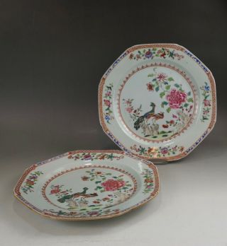 A Fine Chinese 18c Famille Rose " Double Peacock " Plate - Qianlong