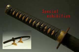 Japan Antique Edo Wakizashi Koshirae Kabuto Samurai Sword Katana Yoroi Tsuba 武将