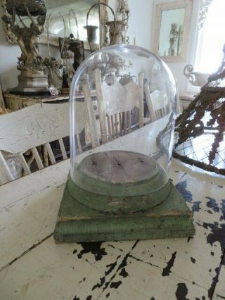Omg Old Vintage Glass Display Dome Cloche & Chippy Green Wood Base For Display