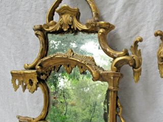 Antique 19th c.  French Carved Gilt Wood Wall Sconces with Mirrors 8
