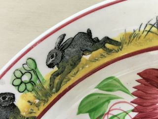 Antique Gaudy Dutch or Welsh Charger Rabbit & Frog Transfer Border Plate 12.  5 