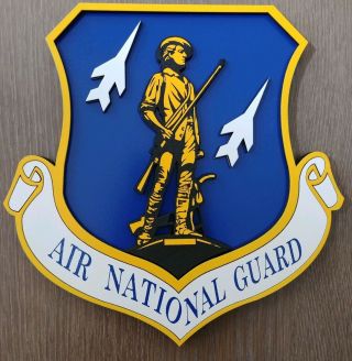 8 " United States Air Force National Guard Shield 3d Crest Plaque