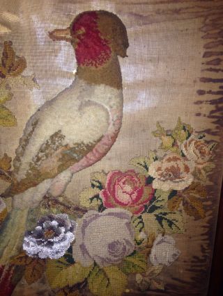 Antique 19th C Plushwork Beadwork Needlepoint Stumpwork Bird And Flowers