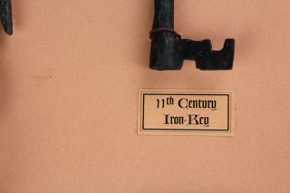 Framed Display of Antique Skeleton Keys Dates 11th Century - 19th Century Wall De 9