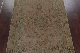 Antique MUTED Peach Coral Persian Area Rug Distressed Oriental FADED Rug 8x11 3
