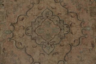 Antique MUTED Peach Coral Persian Area Rug Distressed Oriental FADED Rug 8x11 4