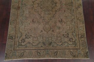 Antique MUTED Peach Coral Persian Area Rug Distressed Oriental FADED Rug 8x11 5