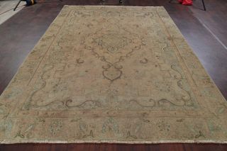 Antique MUTED Peach Coral Persian Area Rug Distressed Oriental FADED Rug 8x11 9