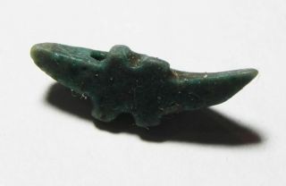 ZURQIEH - ASW167 - Ancient Egyptian Faience Crocadile Amulet.  600 - 300 B.  C 4
