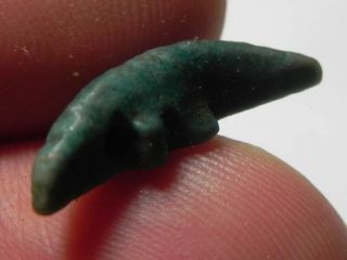 ZURQIEH - ASW167 - Ancient Egyptian Faience Crocadile Amulet.  600 - 300 B.  C 6