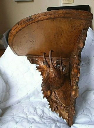 Antique Black Forest Carved Wood Wall Bracket Shelf with Deer/Antelope Head 2