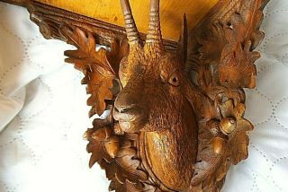 Antique Black Forest Carved Wood Wall Bracket Shelf with Deer/Antelope Head 5