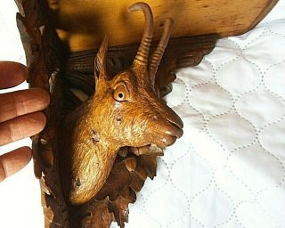 Antique Black Forest Carved Wood Wall Bracket Shelf with Deer/Antelope Head 6