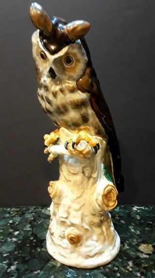 Large Antique Dresden Porcelain Owl,  Made In Germany