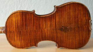 Old Violin 4/4 Geige Viola Cello Fiddle Label Giacomo Gerani