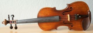 old violin 4/4 geige viola cello fiddle label GIACOMO GERANI 2
