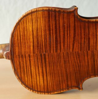 old violin 4/4 geige viola cello fiddle label GIACOMO GERANI 8
