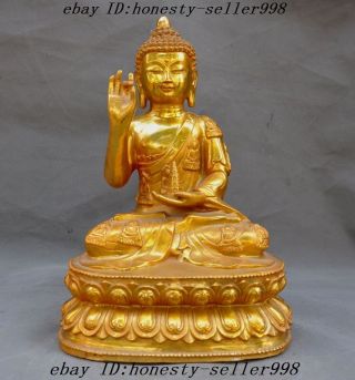 Old Tibet Buddhism Bronze 24k Gold Sakyamuni Shakyamuni Medicine Buddha Statue