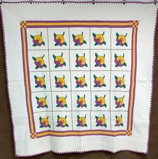 Spring C 30s Pansy Applique Quilt Vintage Purple Yellow Dogtooth