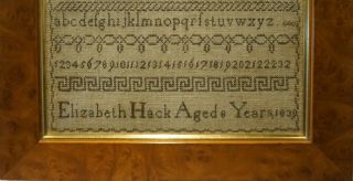 EARLY/MID 19TH CENTURY ALPHABET SAMPLER BY ELIZABETH HACK AGED 8 - 18039 8