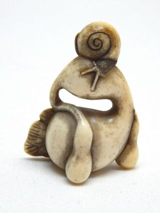 Antique 19th C.  Edo Japanese Hand Carved Antler " Snail On Gourd " Netsuke