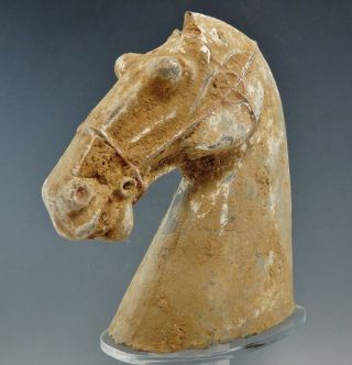 Han Dynasty Chinese Terracotta Horse Head (712k)