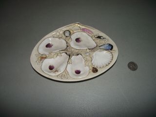 Antique Union Porcelain Oyster Serving Tray/plate Pat.  Jan.  4,  1881