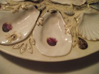 Antique Union Porcelain Oyster Serving Tray/Plate Pat.  Jan.  4,  1881 5