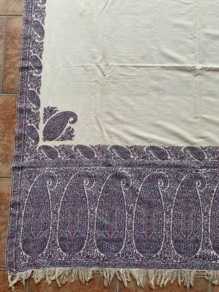 Antique 19TH Century Kashmir Style Paisley Shawl Firdy 54 