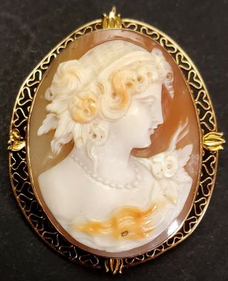Antique 14k Gold Mounted Carved Shell Cameo Portrait Brooch & Necklace Pendant