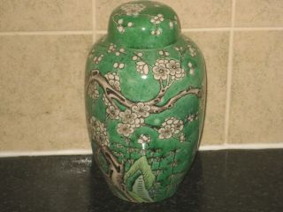 Fine Large Antique Chinese Green Prunus Vase