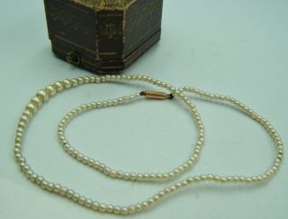 Antique Victorian Or Early Edwardian 9ct Gold Natural Or Cultured Peal Necklace
